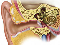 Класс VIII - Болезни уха и сосцевидного отростка (H60-H95)