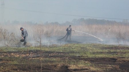 Пожары на торфяниках: чем дышит Киев?