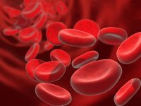 Класс III - Болезни крови, кроветворных органов и отдельные нарушения, вовлекающие иммунный механизм (D50-D89)