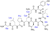 Окситоцин / Oxytocinum